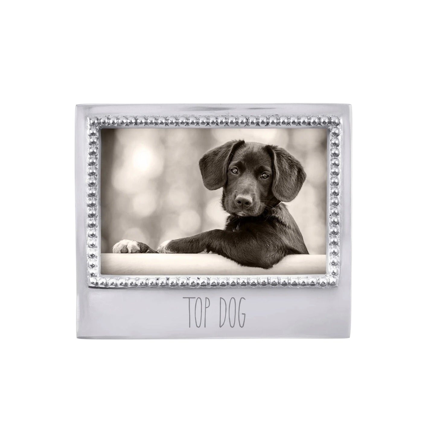 Top Dog 4 x 6 Picture Frame - Silver Beaded